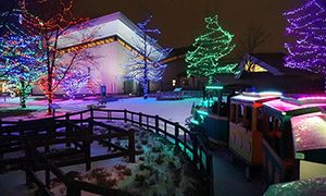 Flurry Days Snow People Parade and activities - Kohl Children's Museum