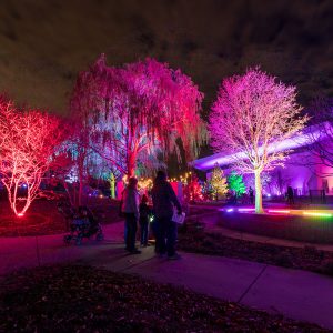 Colored lights shine on trees and around the museum, creating fields of pink, purple, red, yellow and green.