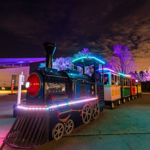 Festive train carries families.