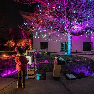 young child faces tree covered in purple lights