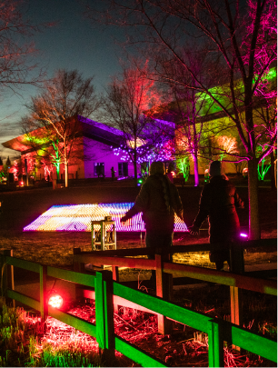 image of family looking out at field of colorful lights
