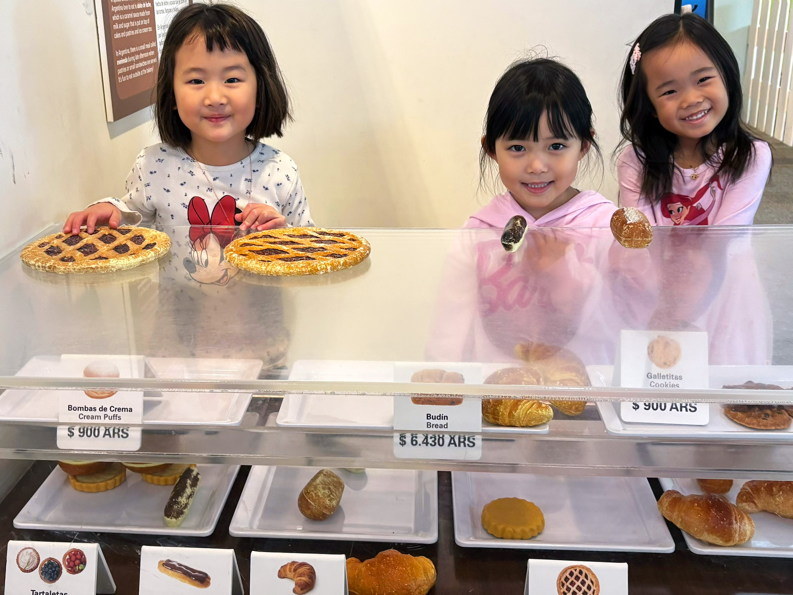 I really enjoyed participating in this program. I definitely saw the benefits of selecting a topic based on students' interests and empowering students to take charge in their own learning. It was a wonderful experience for students because they learned what it looked like and felt like to have a 